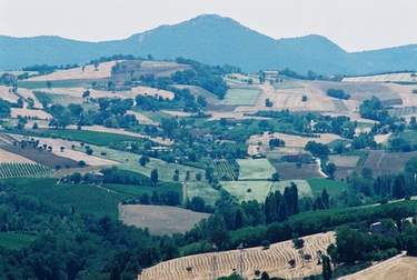 vallesina